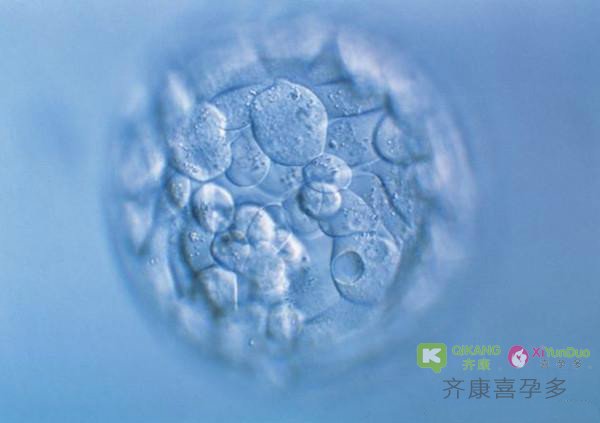 既然已经选择了优质胚胎放入子宫，为什么我却不能好孕？