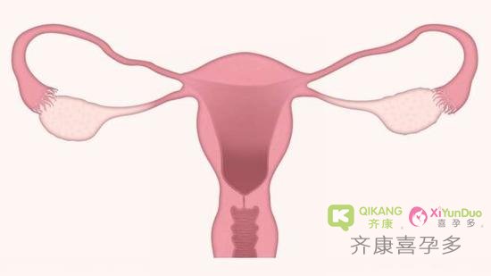 既然已经选择了优质胚胎放入子宫，为什么我却不能好孕？