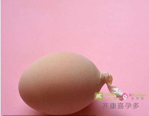 巨大卵是什么？分析影响试管婴儿成功率的卵子异常形态之巨大卵