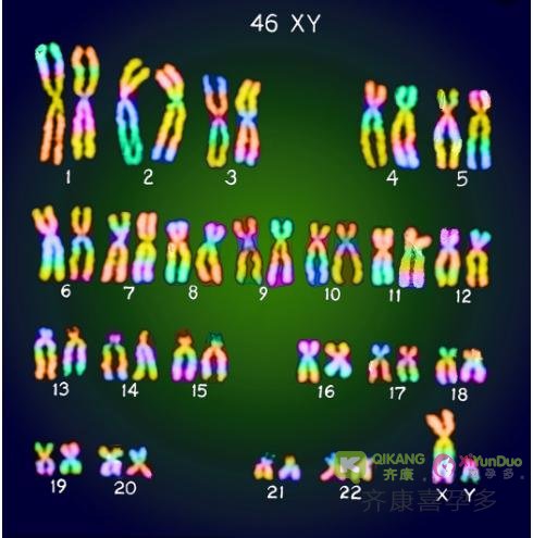 关于试管前染色体的检查，你必须知道的10个问题