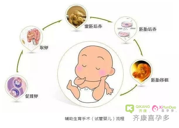 齐康喜孕多浅析中国不育不孕人群与试管婴儿市场现状