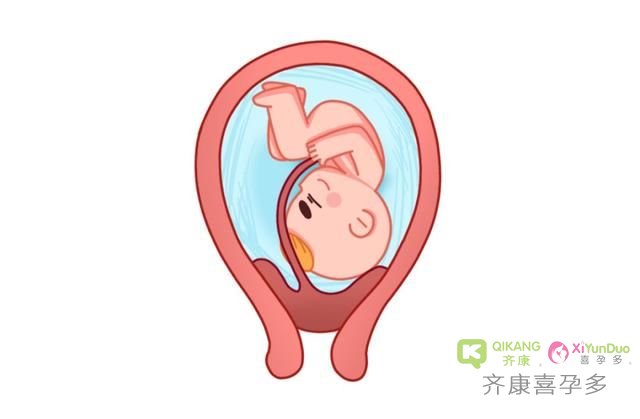 试管移植后应该如何正确的保胎，齐康喜孕多来告诉你