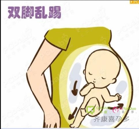 试管婴儿成功后，整个孕期的宝宝胎动情况