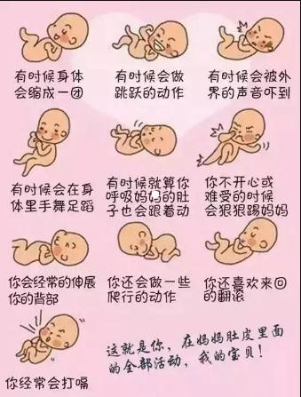 试管婴儿成功后，整个孕期的宝宝胎动情况