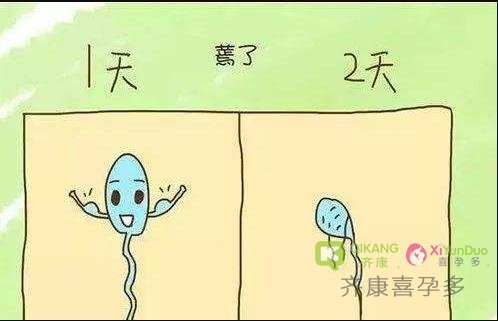 精子活力低该怎么应对，做试管成功率高吗？喜孕多海外试管分享