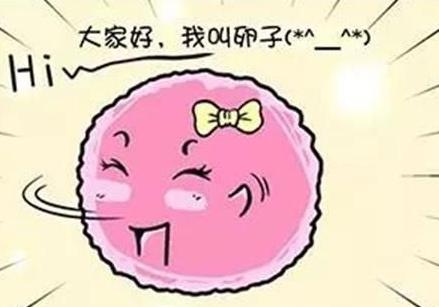 喜孕多海外试管知识分享：女性生殖细胞系中的DNA损伤和修复
