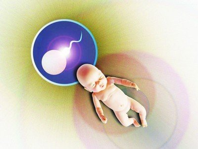 排卵障碍严重到影响怀孕 试管婴儿能解决排卵障碍造成的不孕吗？