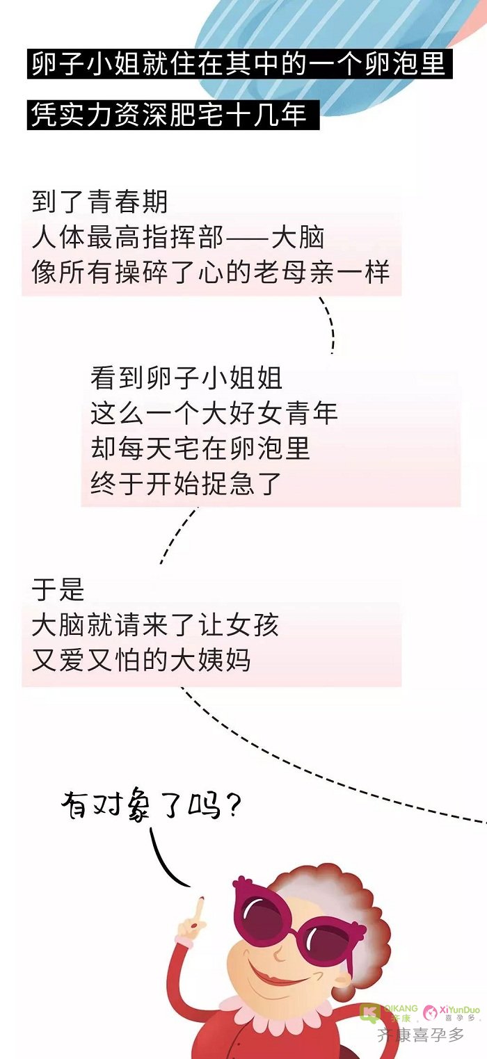 卵巢大街的新鲜事！想让卵子小姐姐出门相亲 不是一件容易