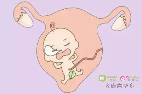 海外三代试管胚胎移植之后 常见问题解答