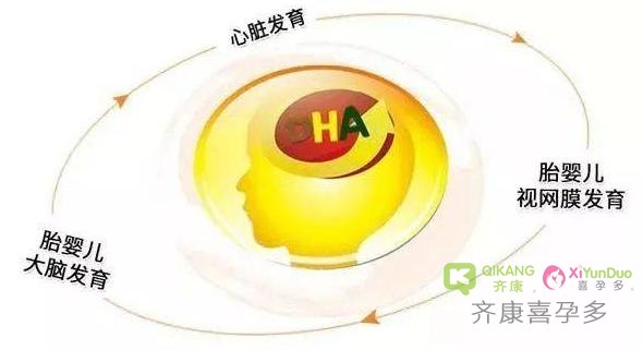 孕妈妈们应该如何补充DHA呢？试管之前吃dhea有什么好处？