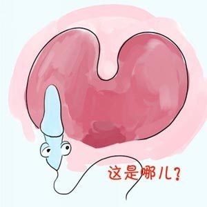 试管婴儿过程中洗精是什么意思？洗精是怎么洗的？ - 喜孕多分享