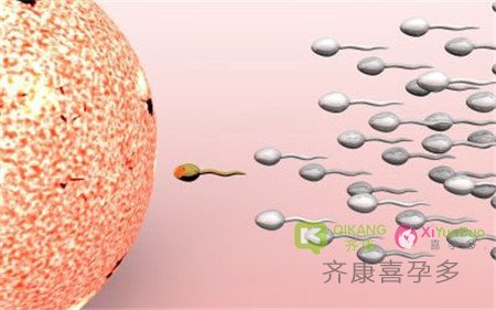 试管婴儿过程中洗精是什么意思？洗精是怎么洗的？ - 喜孕多分享