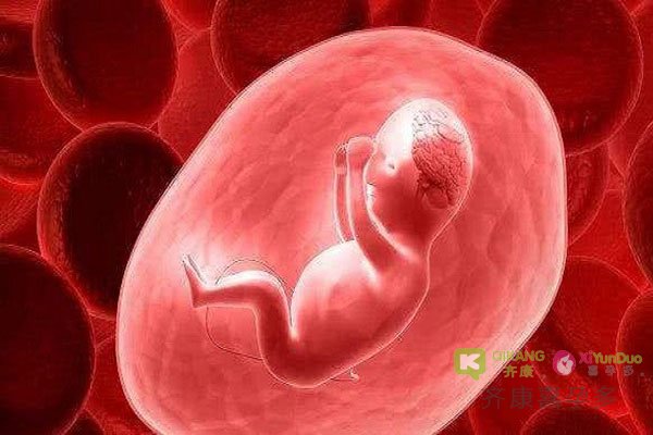 导致胎停育的原因是什么？三代试管能避免胎停育吗？