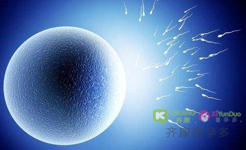 来源于小卵泡的囊胚移植 对于妊娠结局的影响