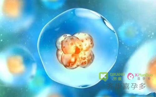 为什么养囊男孩多？关于试管婴儿囊胚养成的误区你踩到几个？
