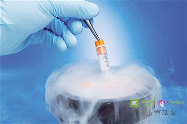 齐康喜孕多试管助孕小课堂：关于试管婴儿胚胎冷冻的有关问题