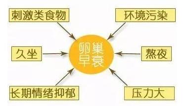 女人要把自己的卵巢保养好，否则卵巢老一岁，脸上老十岁