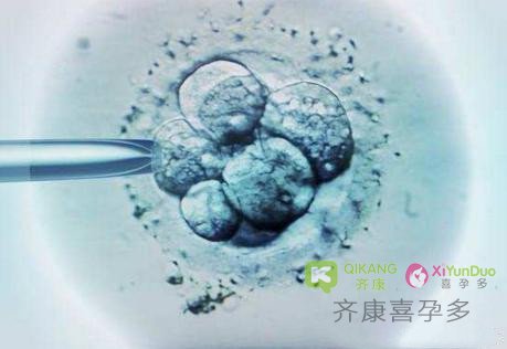 情绪对试管的影响到底有多大