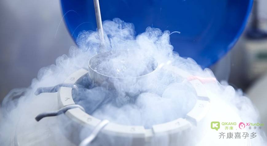 试管婴儿中胚胎冷冻和卵子冷冻，应该如何选择？