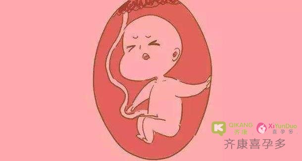试管婴儿胚胎着床后，应该如何避免胎停呢？怎么预防？