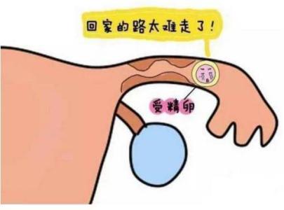 AMH低会影响怀孕吗？对做试管婴儿有影响吗？