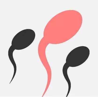试管婴儿中男方精子碎片率高如何生育健康宝宝