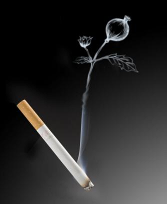试管婴儿中男方精子碎片率高如何生育健康宝宝