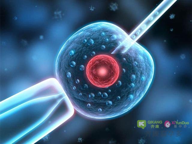 试管婴儿和正常婴儿有什么不一样？齐康喜孕多这样说