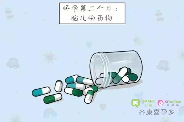 试管成功后就是十月怀胎，胎儿最怕什么？