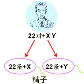 男性梗阻性无精症通过试管可以去到健康精子吗？