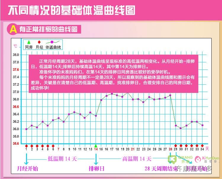 不孕不育症状中排卵异常应该如何判断？