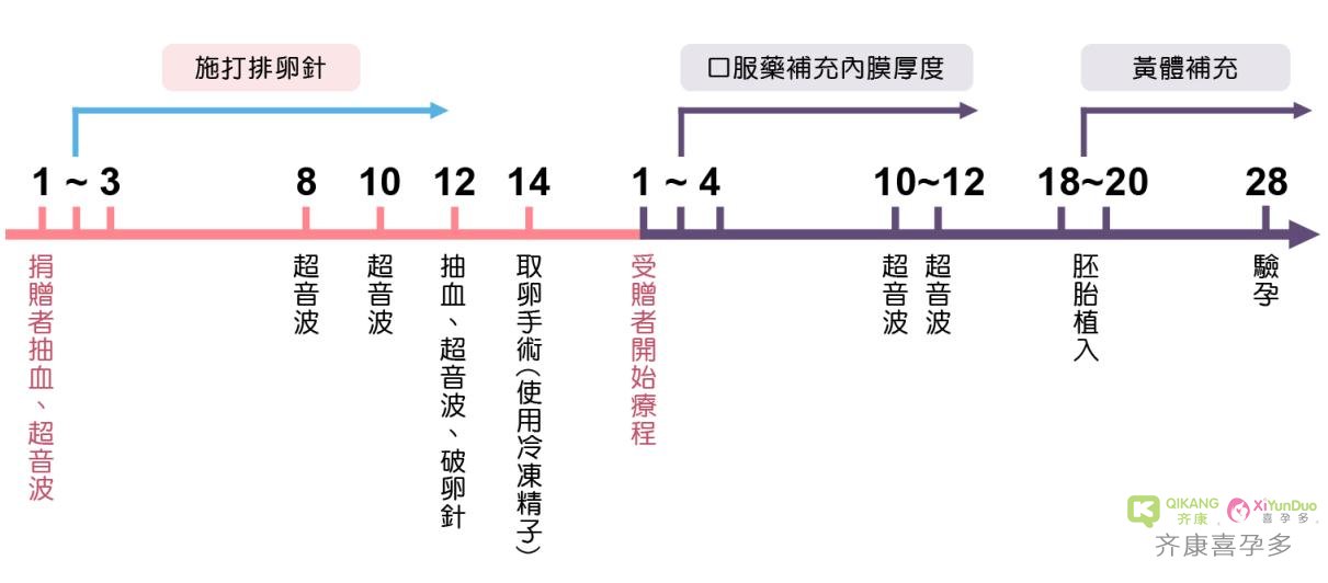 台湾第三代试管婴儿+供卵-流程