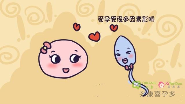 齐康喜孕多海外试管：盘点备孕前男性不可缺少的检查项目