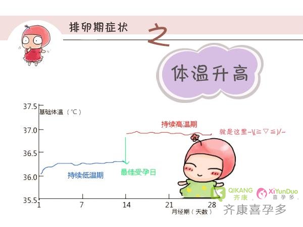 女性排卵期有什么感觉？在排卵期出现这些症状需要保养一下了~