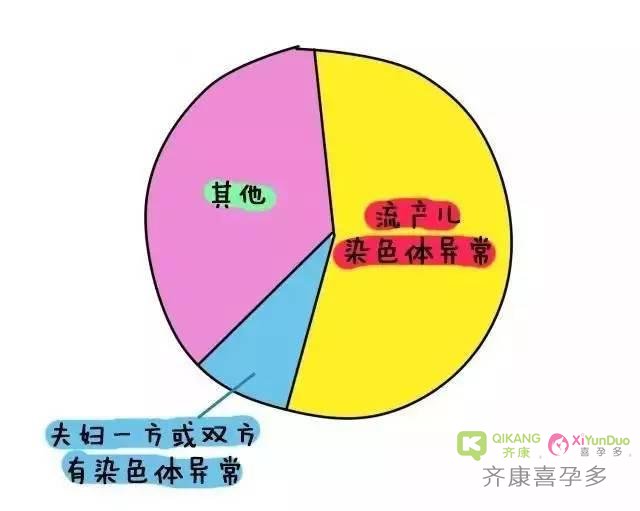 自然妊娠流产的各种情况和试管婴儿着床不成功的因素