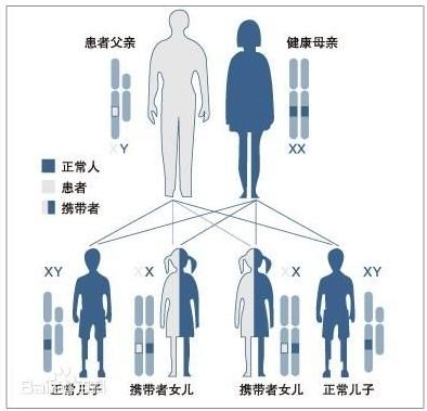 齐康喜孕多告诉想要优生优育在备孕前要了解什么?