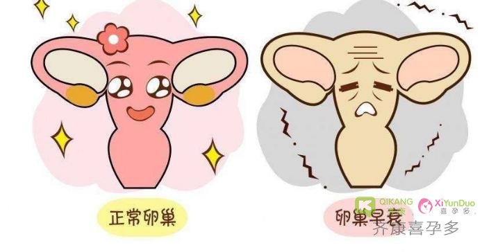 健康的卵子也是试管成功的前提，卵巢功能早衰有没有办法避免？