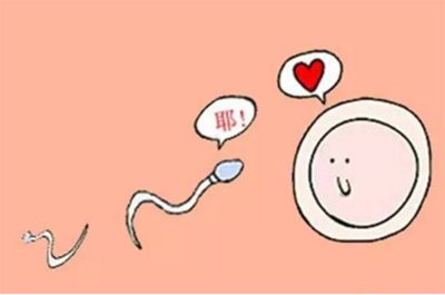 喜孕多小课堂——不孕不育夫妻你检查了精子DNA碎片率吗？
