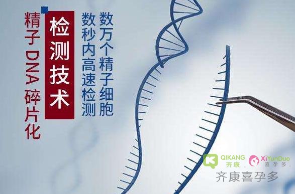 喜孕多小课堂——不孕不育夫妻你检查了精子DNA碎片率吗？