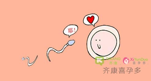 生儿子还是女儿是父亲的基因决定，并不是某些偏方能改变的