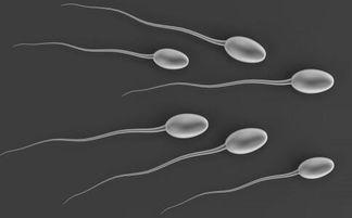 精液异常不孕检查：哪些精液问题会导致男性不育？
