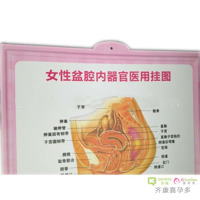 齐康喜孕多温馨提醒：小腹疼痛小心是盆腔炎
