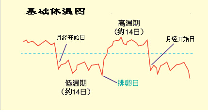 影响正常生育年龄女性的排卵障碍应该如何自我判断？