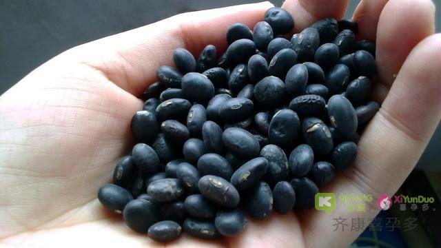 女性常吃黑豆有哪些好处?还能帮助女性促排卵?