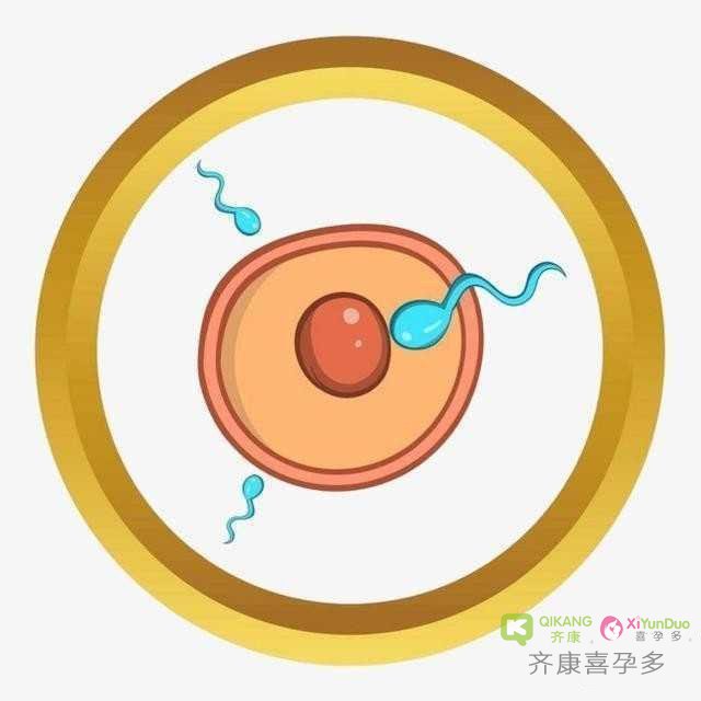 女性常吃黑豆有哪些好处?还能帮助女性促排卵?