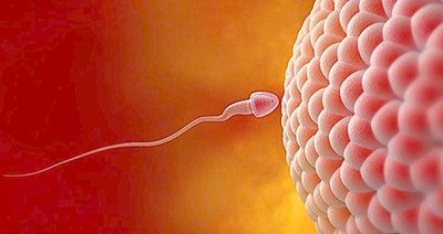 试管婴儿中没有可移植的受精卵，是精子的原因还是卵子原因呢？
