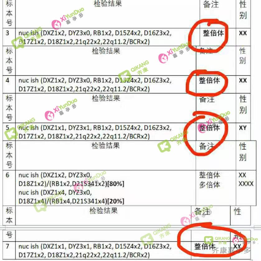 『乌克兰代Y成功案例』恭喜彩虹爸爸们 喜获双胞胎混血小王子