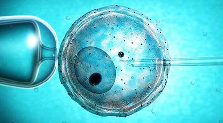 （5）囊胚培养和移植 EKI辅助生殖研究中心所移植的胚胎均是于实验室中严格培养至第5~6天的健康囊胚。通过提取囊胚滋养层细胞作为样本进行遗传学检测，不仅能够筛选出具备发育潜力的胚胎，而且能够确保所移植胚胎的优质性，为胚胎活产率带来了革命性的提高。