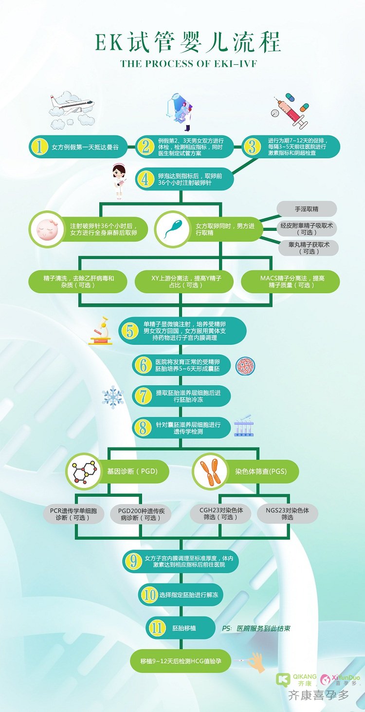 五、EKI-IVF试管婴儿助孕流程