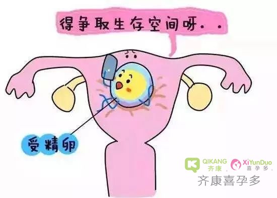 危害女性生育的顽固杀手宫腔粘连，可以做试管吗？